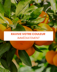Routine cheveux colorés