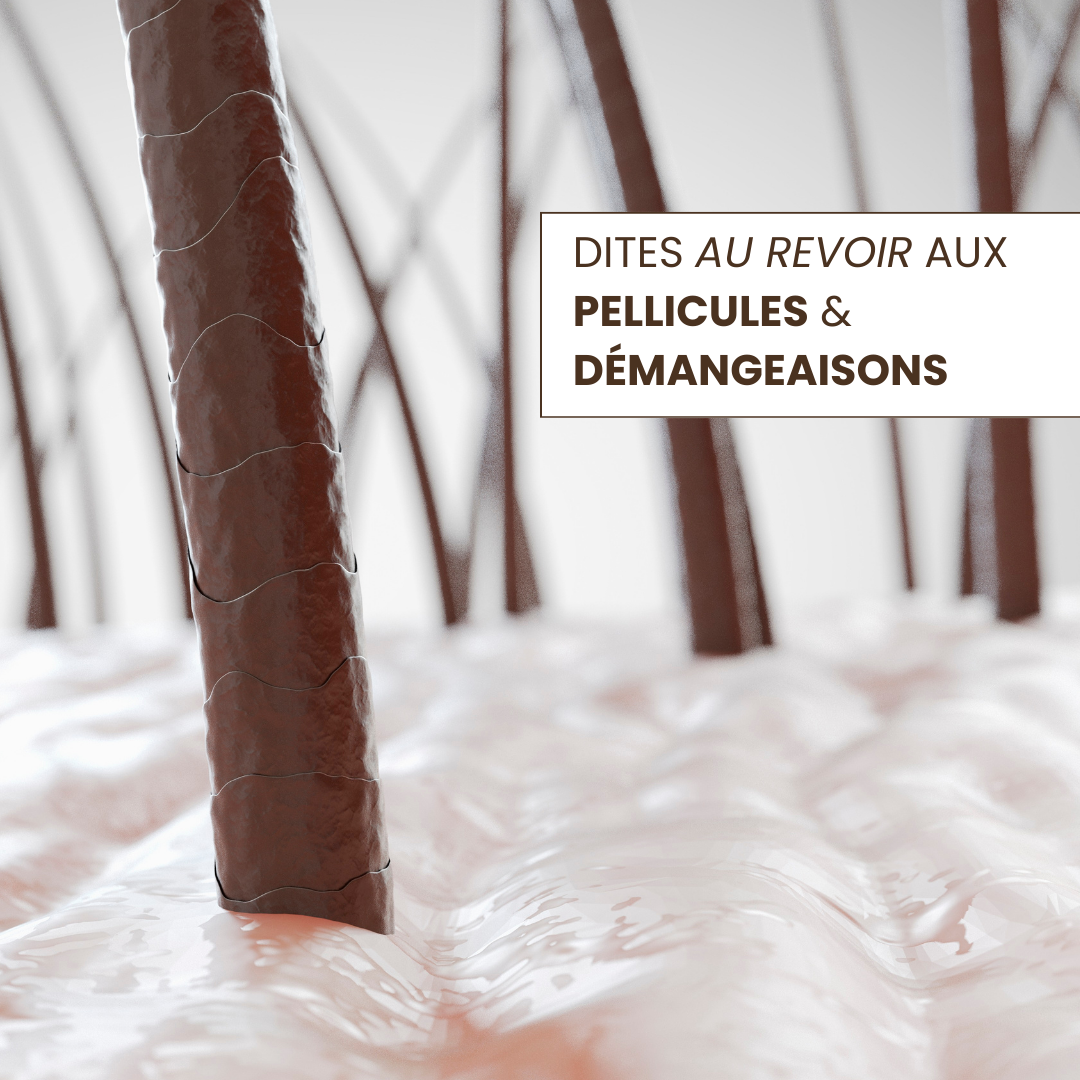 Shampoing Naturel & Booster Cuir Chevelu Sensible