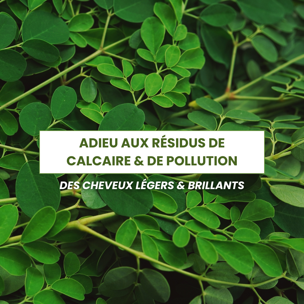 Cure DETOX Cuir Chevelu