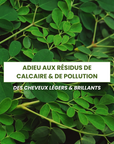 Cure DETOX Cuir Chevelu
