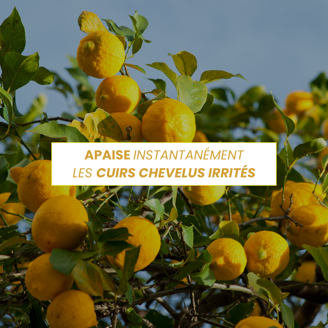 Routine pour cuir chevelu sensible / irritations / pellicules