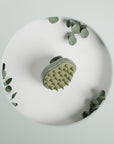 Brosse massante biodégradable