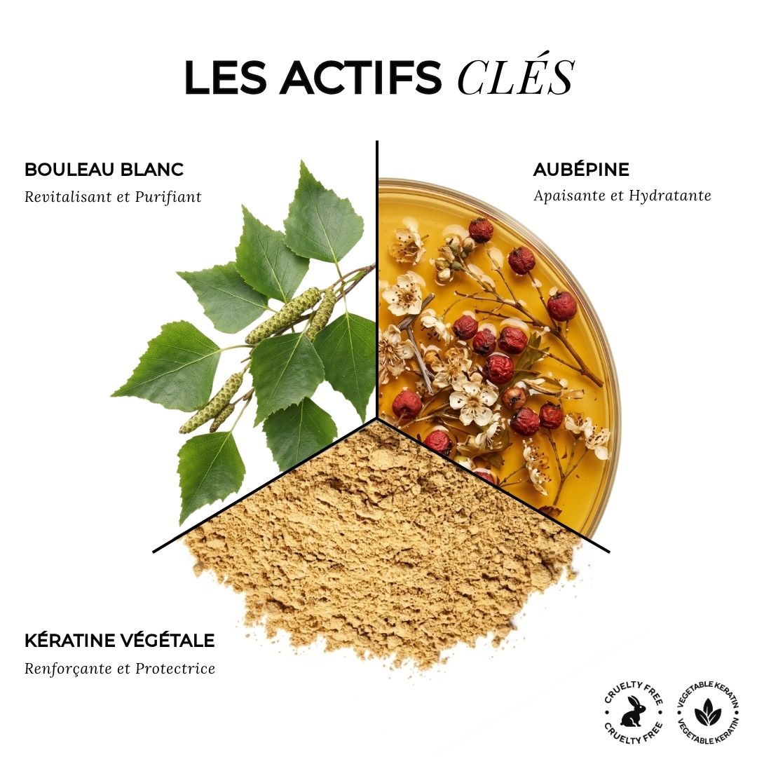 Brume de Parfum Musc & Bois Blanc