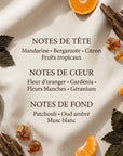 Brume de Parfum Musc & Bois Blanc