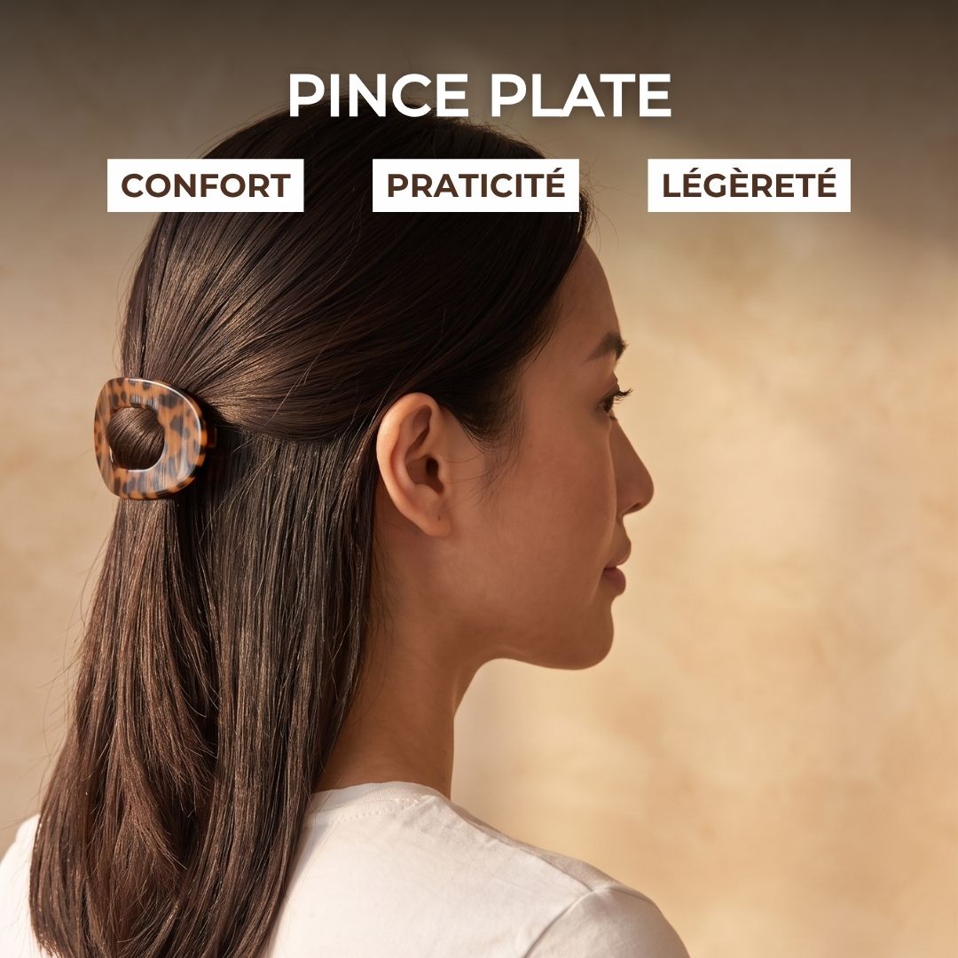 Pince Plate Cheveux