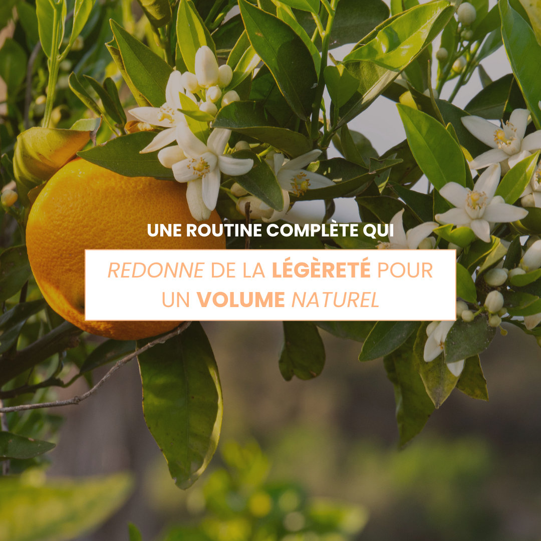 Routine cheveux fins / manque de densité