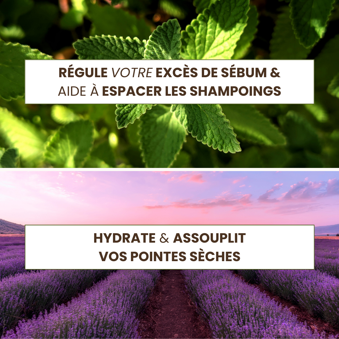 Routine pour cuir chevelu gras