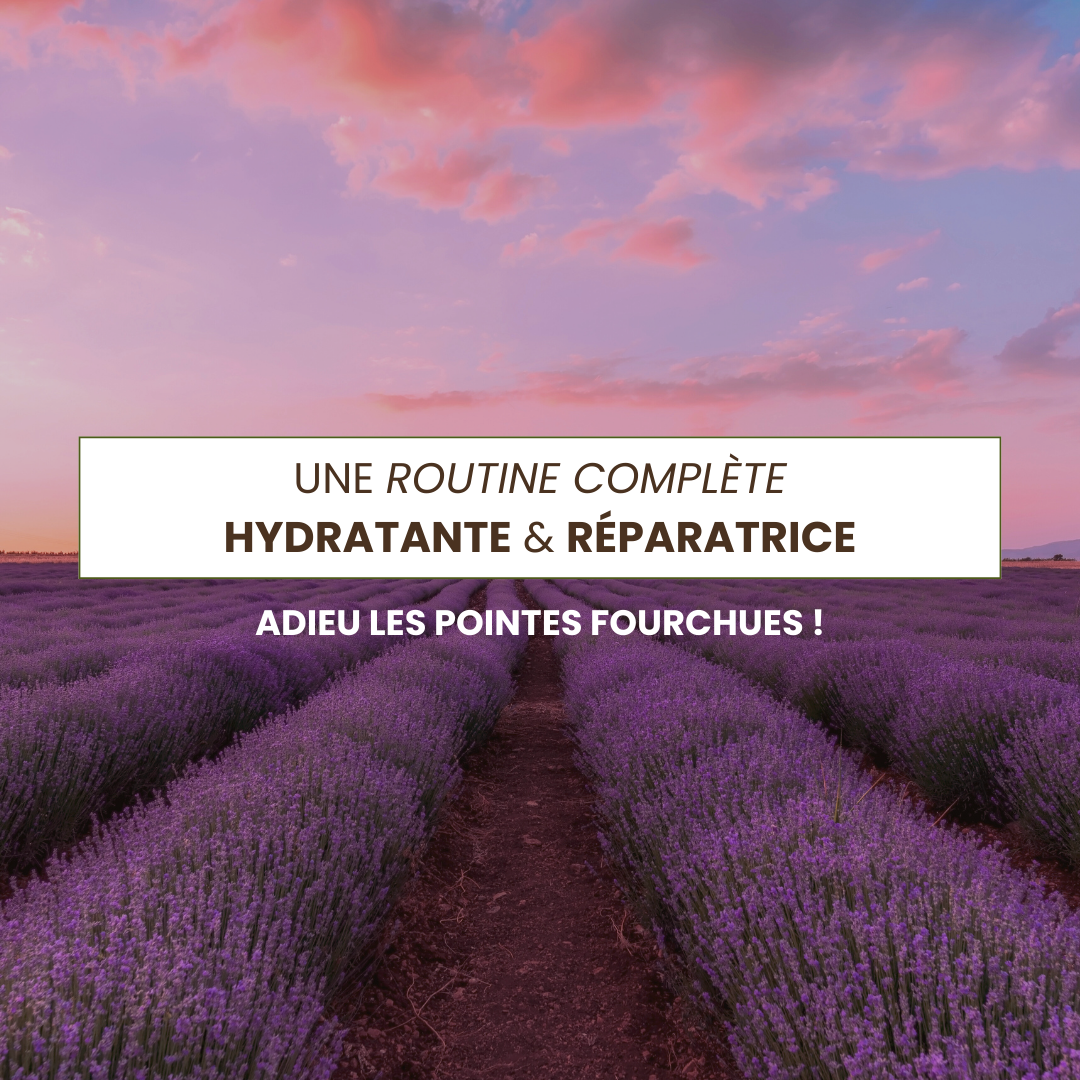 Routine cheveux secs / abîmés