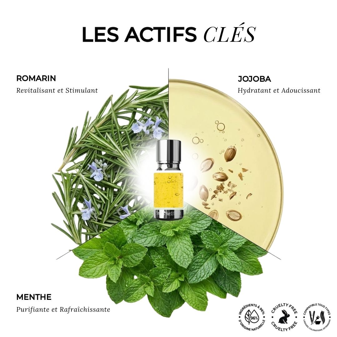 Shampoing Cheveux Gras